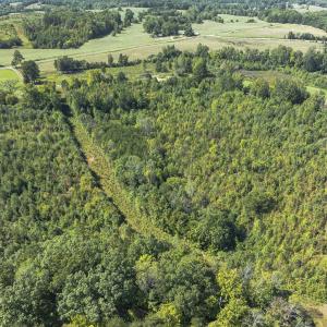 Photo #38 of 174, 176 & 135 BARKER RD, Semora, NC 36.5 acres