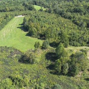 Photo #39 of 174, 176 & 135 BARKER RD, Semora, NC 36.5 acres