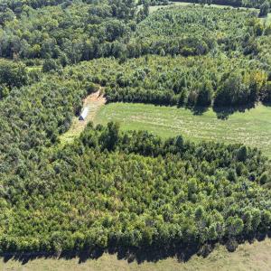 Photo #40 of 174, 176 & 135 BARKER RD, Semora, NC 36.5 acres