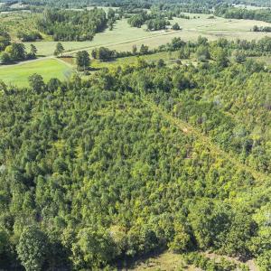 Photo #41 of 174, 176 & 135 BARKER RD, Semora, NC 36.5 acres