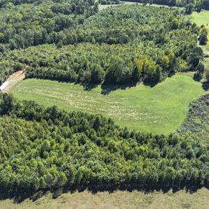 Photo #43 of 174, 176 & 135 BARKER RD, Semora, NC 36.5 acres