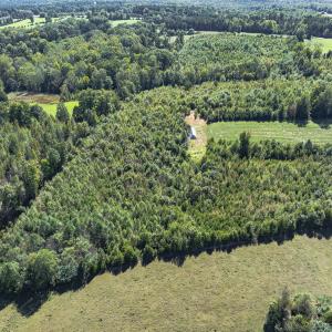 Photo #45 of 174, 176 & 135 BARKER RD, Semora, NC 36.5 acres
