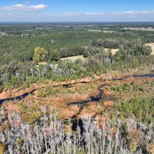 Photo #11 of Off J A Carrol Road, Bladenboro, NC 58.4 acres