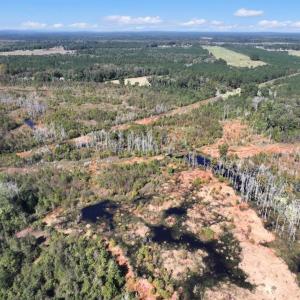 Photo #16 of Off J A Carrol Road, Bladenboro, NC 58.4 acres