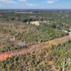 Photo #17 of Off J A Carrol Road, Bladenboro, NC 58.4 acres