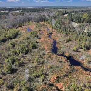 Photo #19 of Off J A Carrol Road, Bladenboro, NC 58.4 acres