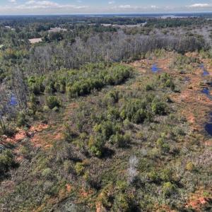 Photo #20 of Off J A Carrol Road, Bladenboro, NC 58.4 acres