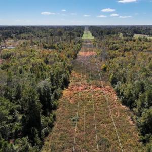 Photo #21 of Off J A Carrol Road, Bladenboro, NC 58.4 acres