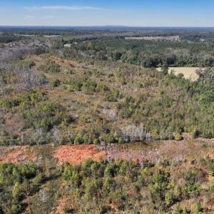 Photo #22 of Off J A Carrol Road, Bladenboro, NC 58.4 acres