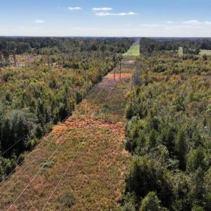 Photo #24 of Off J A Carrol Road, Bladenboro, NC 58.4 acres