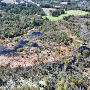 Photo #27 of Off J A Carrol Road, Bladenboro, NC 58.4 acres