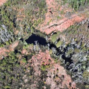 Photo #28 of Off J A Carrol Road, Bladenboro, NC 58.4 acres