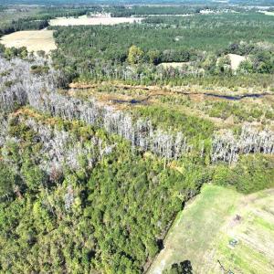Photo #30 of Off J A Carrol Road, Bladenboro, NC 58.4 acres