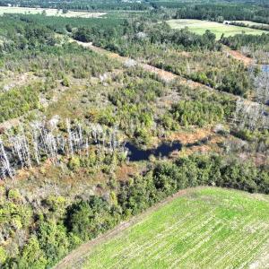 Photo #32 of Off J A Carrol Road, Bladenboro, NC 58.4 acres