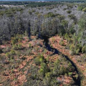 Photo #33 of Off J A Carrol Road, Bladenboro, NC 58.4 acres