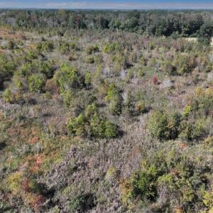 Photo #34 of Off J A Carrol Road, Bladenboro, NC 58.4 acres