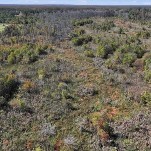 Photo #35 of Off J A Carrol Road, Bladenboro, NC 58.4 acres