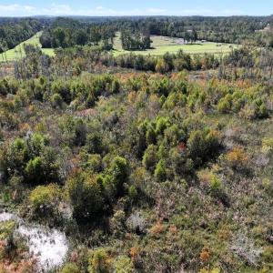 Photo #36 of Off J A Carrol Road, Bladenboro, NC 58.4 acres