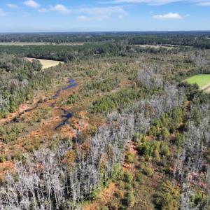 Photo #9 of Off J A Carrol Road, Bladenboro, NC 58.4 acres