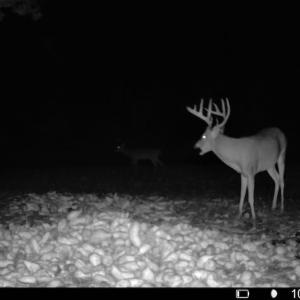 Photo #1 of Off Atkinson Cemetary Rd, Atkinson, NC 202.0 acres