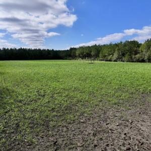 Photo #12 of Off Atkinson Cemetary Rd, Atkinson, NC 202.0 acres
