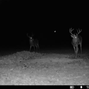 Photo #13 of Off Atkinson Cemetary Rd, Atkinson, NC 202.0 acres