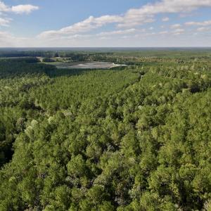 Photo #14 of Off Atkinson Cemetary Rd, Atkinson, NC 202.0 acres