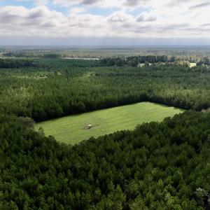 Photo #15 of Off Atkinson Cemetary Rd, Atkinson, NC 202.0 acres