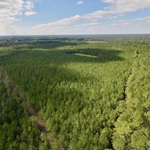 Photo #16 of Off Atkinson Cemetary Rd, Atkinson, NC 202.0 acres