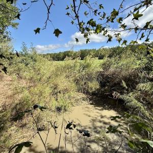 Photo #24 of Off Atkinson Cemetary Rd, Atkinson, NC 202.0 acres