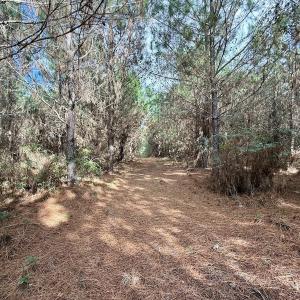Photo #30 of Off Atkinson Cemetary Rd, Atkinson, NC 202.0 acres