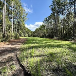 Photo #32 of Off Atkinson Cemetary Rd, Atkinson, NC 202.0 acres