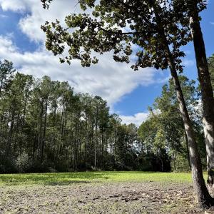 Photo #33 of Off Atkinson Cemetary Rd, Atkinson, NC 202.0 acres