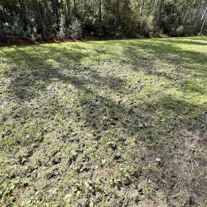 Photo #34 of Off Atkinson Cemetary Rd, Atkinson, NC 202.0 acres