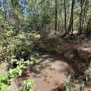 Photo #35 of Off Atkinson Cemetary Rd, Atkinson, NC 202.0 acres
