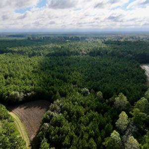 Photo #5 of Off Atkinson Cemetary Rd, Atkinson, NC 202.0 acres
