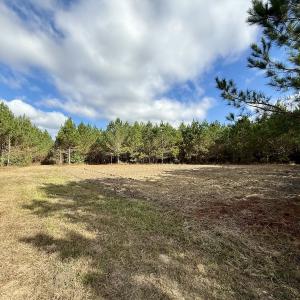Photo #7 of Off Atkinson Cemetary Rd, Atkinson, NC 202.0 acres