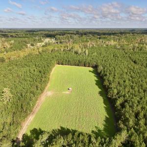 Photo #8 of Off Atkinson Cemetary Rd, Atkinson, NC 202.0 acres