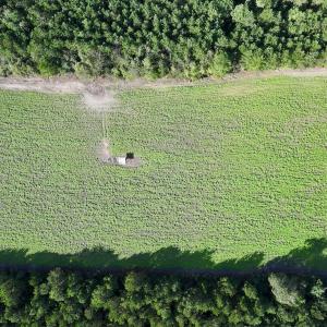 Photo #9 of Off Atkinson Cemetary Rd, Atkinson, NC 202.0 acres