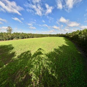 Photo #11 of Off Atkinson Cemetary Rd, Atkinson, NC 202.0 acres