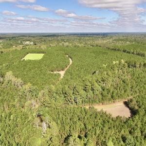 Photo #45 of Off Atkinson Cemetary Rd, Atkinson, NC 202.0 acres