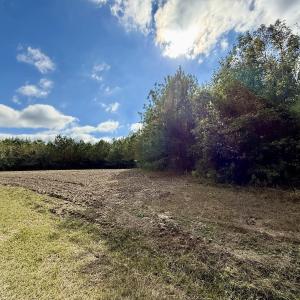 Photo #46 of Off Atkinson Cemetary Rd, Atkinson, NC 202.0 acres