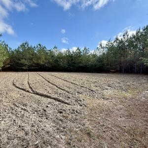 Photo #47 of Off Atkinson Cemetary Rd, Atkinson, NC 202.0 acres