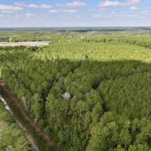 Photo #50 of Off Atkinson Cemetary Rd, Atkinson, NC 202.0 acres