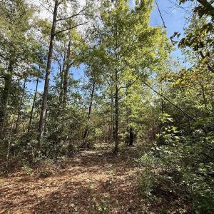 Photo #51 of Off Atkinson Cemetary Rd, Atkinson, NC 202.0 acres