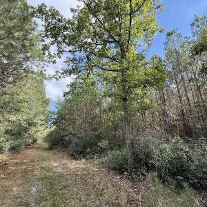 Photo #53 of Off Atkinson Cemetary Rd, Atkinson, NC 202.0 acres