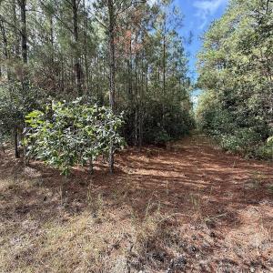 Photo #62 of Off Atkinson Cemetary Rd, Atkinson, NC 202.0 acres