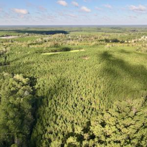 Photo #65 of Off Atkinson Cemetary Rd, Atkinson, NC 202.0 acres