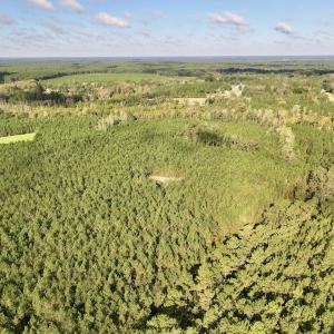 Photo #66 of Off Atkinson Cemetary Rd, Atkinson, NC 202.0 acres