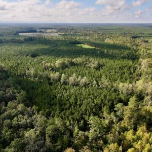 Photo #70 of Off Atkinson Cemetary Rd, Atkinson, NC 202.0 acres